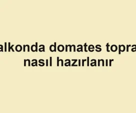 Balkonda domates toprağı nasıl hazırlanır