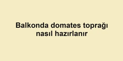 Balkonda domates toprağı nasıl hazırlanır