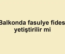 Balkonda fasulye fidesi yetiştirilir mi