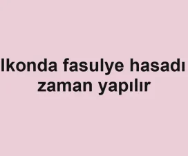 Balkonda fasulye hasadı ne zaman yapılır