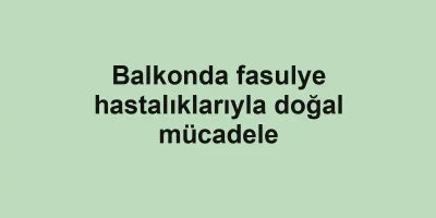 Balkonda fasulye hastalıklarıyla doğal mücadele
