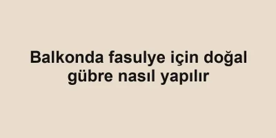 Balkonda fasulye için doğal gübre nasıl yapılır