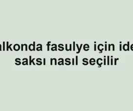 Balkonda fasulye için ideal saksı nasıl seçilir