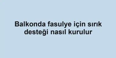 Balkonda fasulye için sırık desteği nasıl kurulur