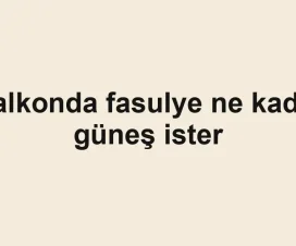 Balkonda fasulye ne kadar güneş ister