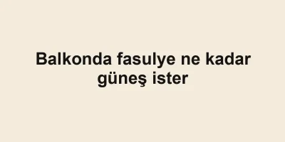 Balkonda fasulye ne kadar güneş ister
