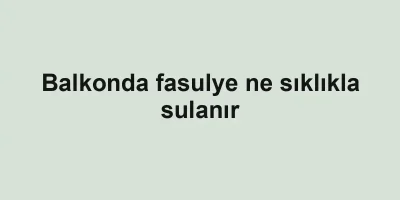 Balkonda fasulye ne sıklıkla sulanır