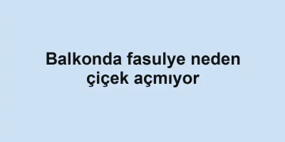 Balkonda fasulye neden çiçek açmıyor