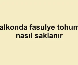 Balkonda fasulye tohumu nasıl saklanır