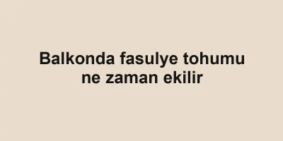 Balkonda fasulye tohumu ne zaman ekilir