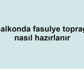 Balkonda fasulye toprağı nasıl hazırlanır