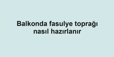 Balkonda fasulye toprağı nasıl hazırlanır