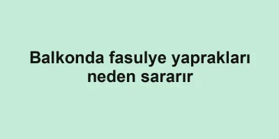 Balkonda fasulye yaprakları neden sararır