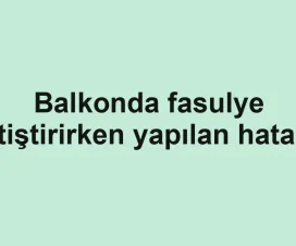 Balkonda fasulye yetiştirirken yapılan hatalar
