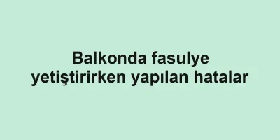 Balkonda fasulye yetiştirirken yapılan hatalar