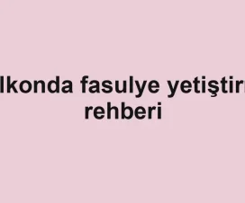 Balkonda fasulye yetiştirme rehberi