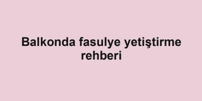 Balkonda fasulye yetiştirme rehberi