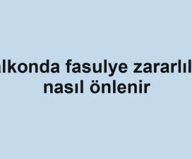 Balkonda fasulye zararlıları nasıl önlenir