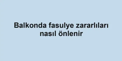 Balkonda fasulye zararlıları nasıl önlenir