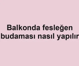 Balkonda fesleğen budaması nasıl yapılır