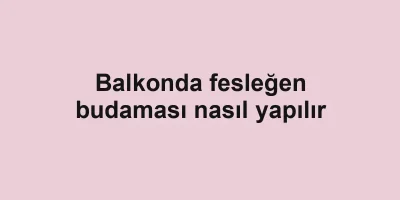 Balkonda fesleğen budaması nasıl yapılır
