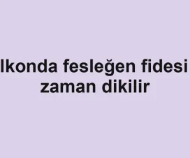 Balkonda fesleğen fidesi ne zaman dikilir