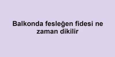 Balkonda fesleğen fidesi ne zaman dikilir