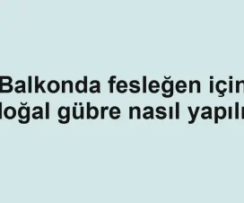 Balkonda fesleğen için doğal gübre nasıl yapılır