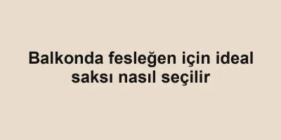 Balkonda fesleğen için ideal saksı nasıl seçilir