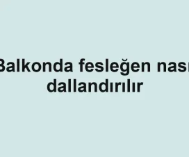 Balkonda fesleğen nasıl dallandırılır