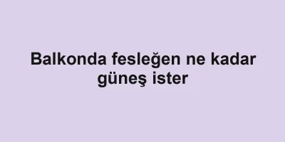Balkonda fesleğen ne kadar güneş ister