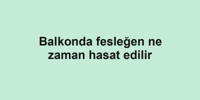 Balkonda fesleğen ne zaman hasat edilir