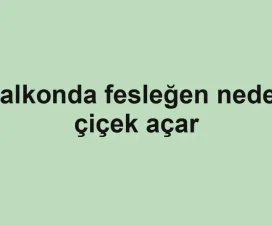 Balkonda fesleğen neden çiçek açar