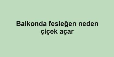 Balkonda fesleğen neden çiçek açar