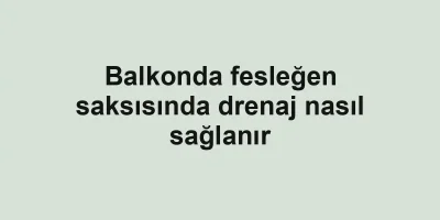 Balkonda fesleğen saksısında drenaj nasıl sağlanır