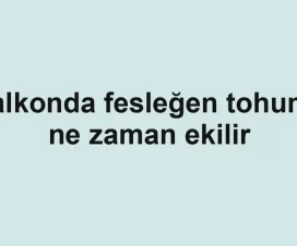Balkonda fesleğen tohumu ne zaman ekilir