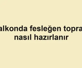 Balkonda fesleğen toprağı nasıl hazırlanır