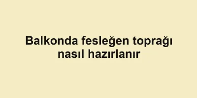 Balkonda fesleğen toprağı nasıl hazırlanır