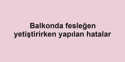 Balkonda fesleğen yetiştirirken yapılan hatalar