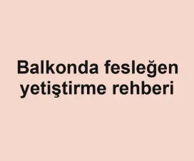 Balkonda fesleğen yetiştirme rehberi