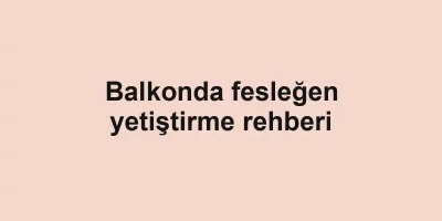 Balkonda fesleğen yetiştirme rehberi