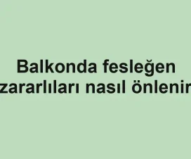 Balkonda fesleğen zararlıları nasıl önlenir