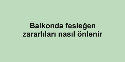 Balkonda fesleğen zararlıları nasıl önlenir