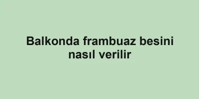 Balkonda frambuaz besini nasıl verilir