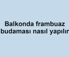 Balkonda frambuaz budaması nasıl yapılır