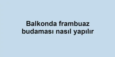 Balkonda frambuaz budaması nasıl yapılır