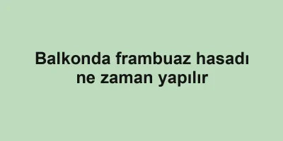 Balkonda frambuaz hasadı ne zaman yapılır