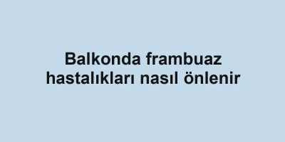 Balkonda frambuaz hastalıkları nasıl önlenir