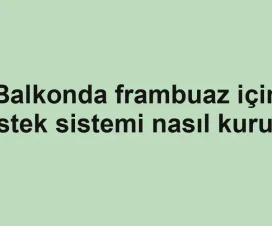 Balkonda frambuaz için destek sistemi nasıl kurulur