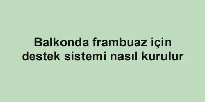 Balkonda frambuaz için destek sistemi nasıl kurulur